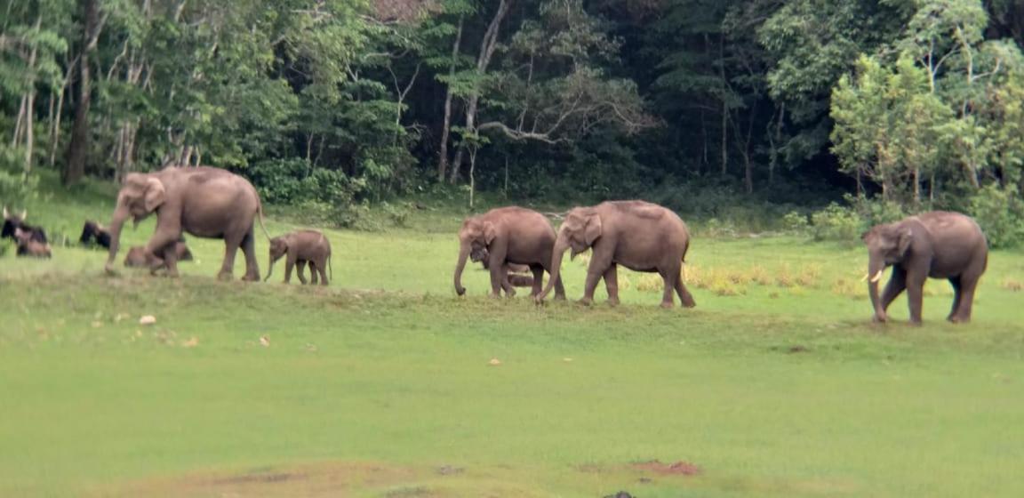 Aditi Thekkady Eksteriør bilde